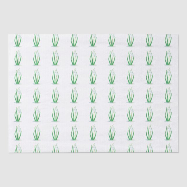 Spring Snowdrops (Galanthus nivalis) White Tissue Paper (Front)