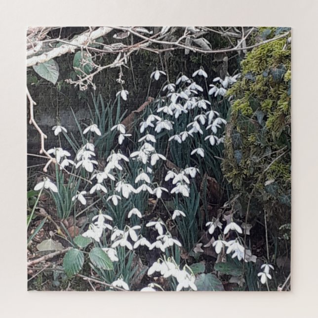 Spring Snowdrops Jigsaw Puzzle (Vertical)