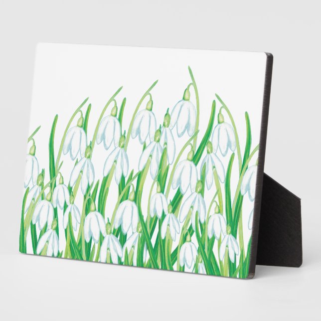 Spring Snowdrops   Plaque (Side)