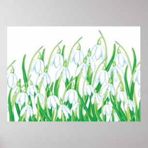 Spring Snowdrops Poster
