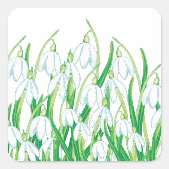Spring Snowdrops  Square Sticker (Front)