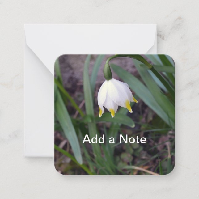 Spring Snowflake Leucojum vernum Customisable Card (Front)