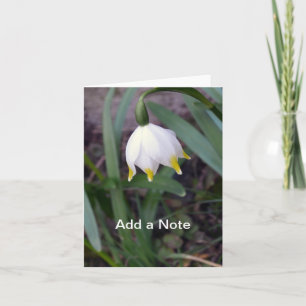 Spring Snowflake Leucojum vernum Customisable Note Card