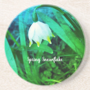 Spring Snowflake Leucojum vernum Flower Coaster