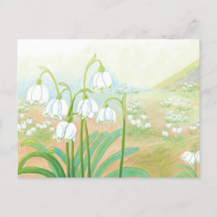 Spring Snowflake, Leucojum vernum Illustration  Holiday Postcard
