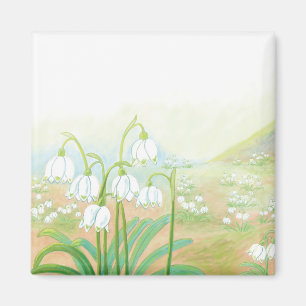 Spring Snowflake, Leucojum vernum Illustration  Magnet