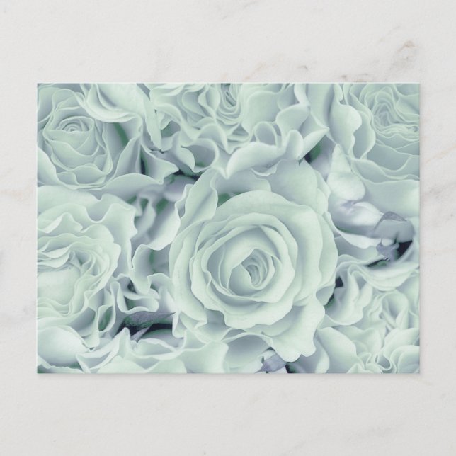 Spring Soft Green Roses + Satin Bouquet, template Postcard (Front)