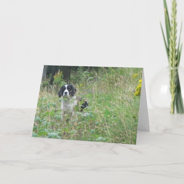 Spring spaniel, greeting card (Front)