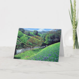 Spring Splendour Cards