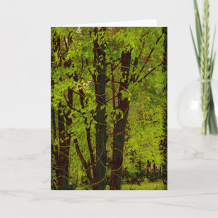 Spring Splendour Greeting Card