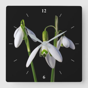 Spring Springs Eternal Square Wall Clock