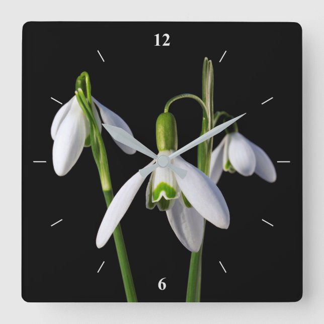 Spring Springs Eternal Square Wall Clock (Front)