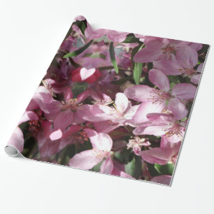 Spring Sprung Wrapping Paper