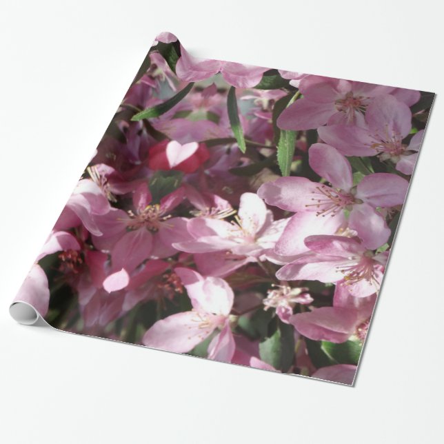 Spring Sprung Wrapping Paper (Unrolled)