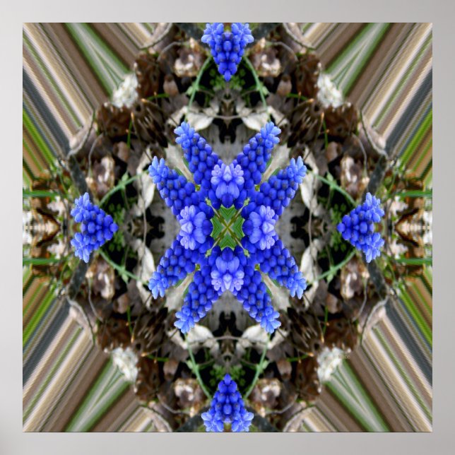 Spring star.... poster (Front)