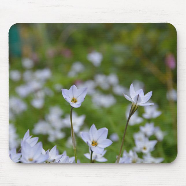 Spring Starflower Mouse Mat (Front)
