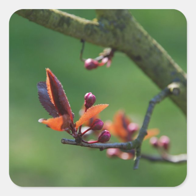 Spring Sticker (Front)