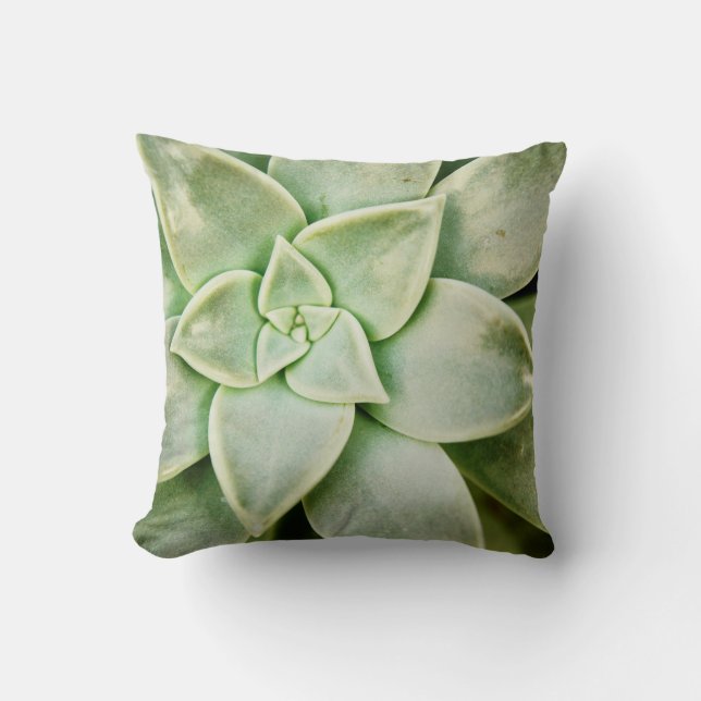 Spring Succulent Cushion (Front)