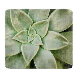 Spring Succulent Cutting Board