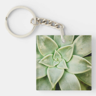 Spring Succulent Key Ring