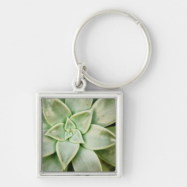 Spring Succulent Key Ring (Front)