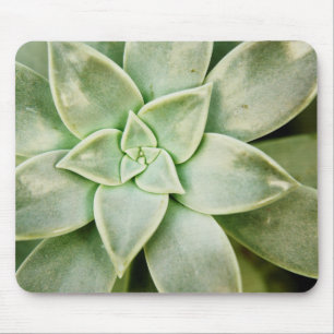 Spring Succulent Mouse Mat