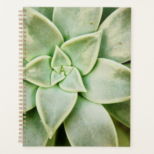 Spring Succulent Planner