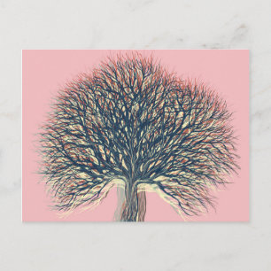 Spring Summer Autumn Winter Tree #2 Postcard