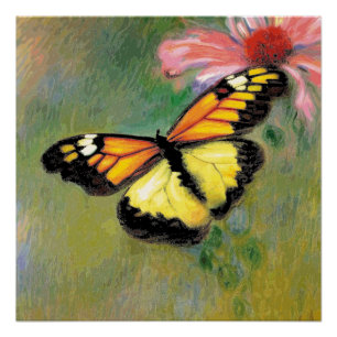 Spring Summer Butterfly - Poster