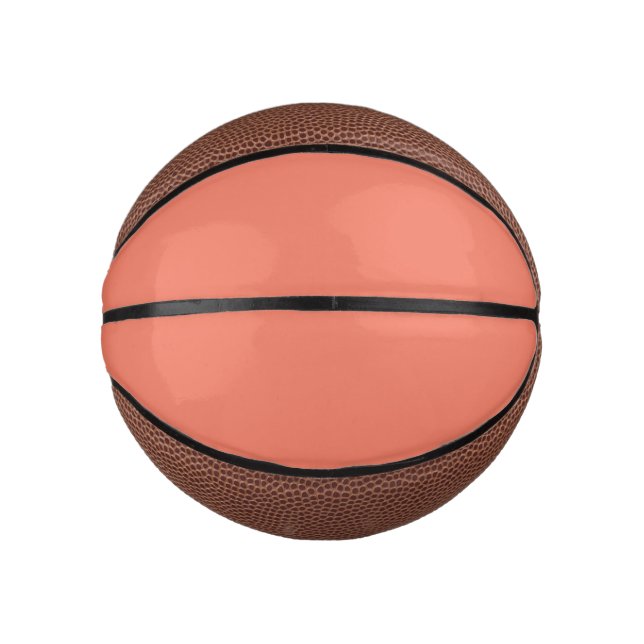Spring Summer Colour Peach Pink Mini Basketball (Front)