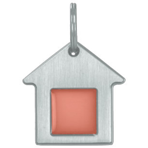 Spring Summer Colour Peach Pink Pet ID Tag