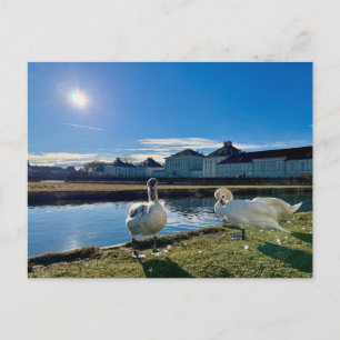 Spring Sun  Postcard