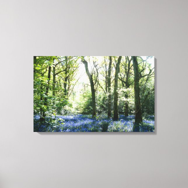 Spring Sunbeams Canvas Print (Front)