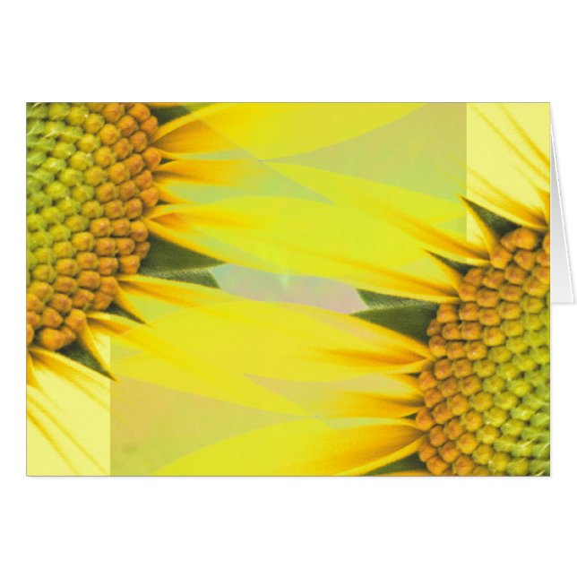 Spring sunflowers (Front Horizontal)