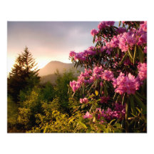 Spring Sunset Mount Mitchell in North Carolina.