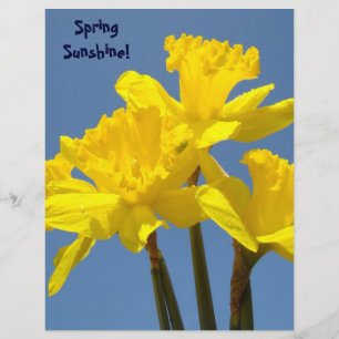 Spring Sunshine scrapbook paper Daffodils Flowers