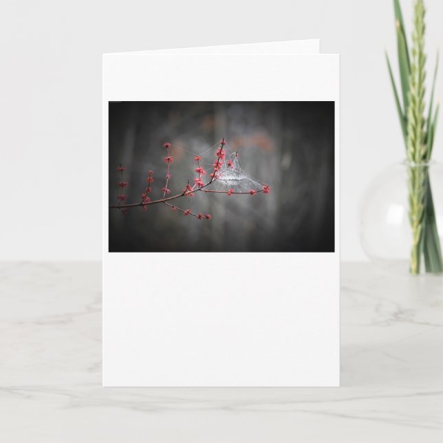 Spring Threads, card (Front)