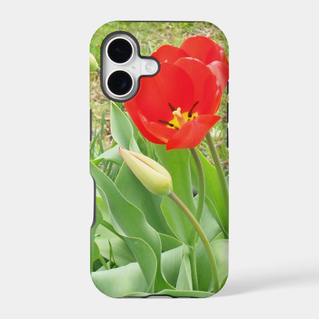 Spring Time 17 iPhone Case (Back)