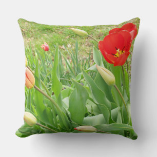 Spring Time 17 Square Pillow