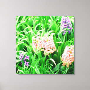 Spring Time 1 Canvas Print