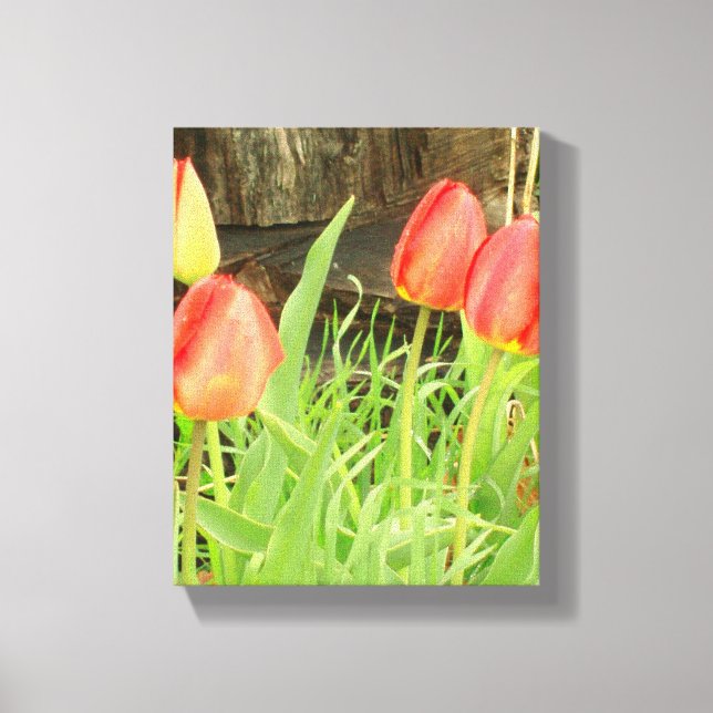 Spring Time 2 Canvas Print (Front)