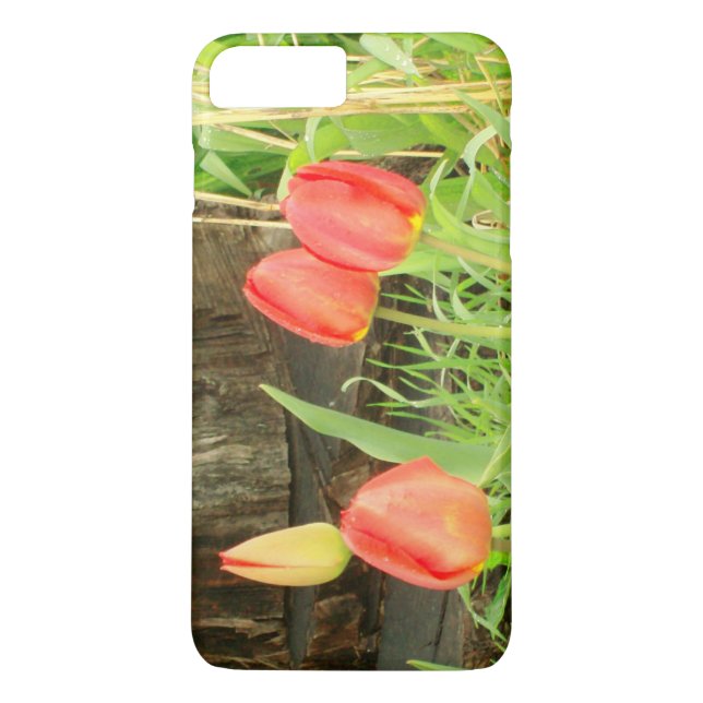 Spring Time 2 iPhone / iPad case (Back)