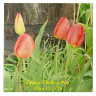 Spring Time 2 Mothers Day Tile