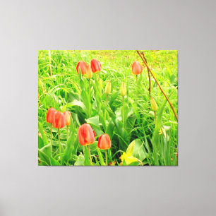 Spring Time 3 Canvas Print