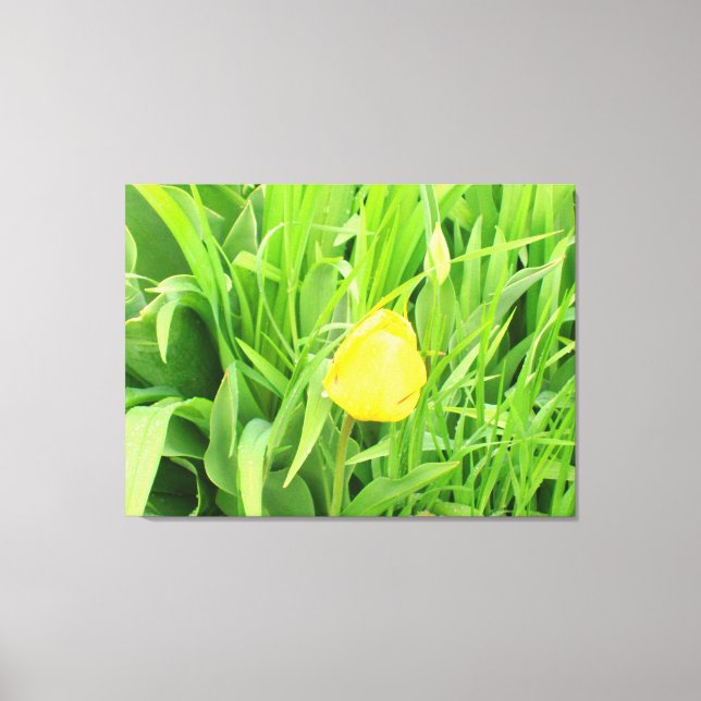 Spring Time 5 Canvas Print (Front)