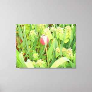 Spring Time 6 Canvas Print