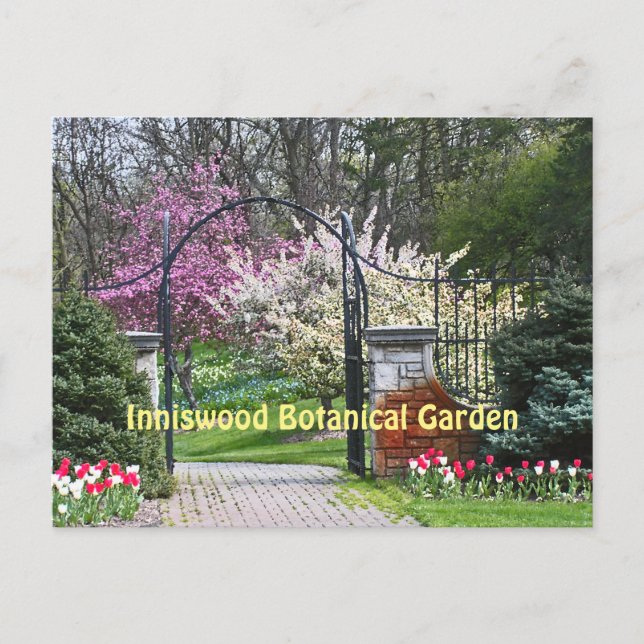 "SPRING TIME AT INNISWOOD" (WESTERVILLE, OHIO) POSTCARD (Front)