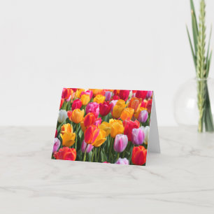 Spring Time at The Sunken Gardens1 2013 Card