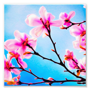 Spring Time Blossoms Photo Print