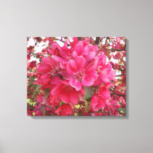 Spring Time Flower Canvas Print